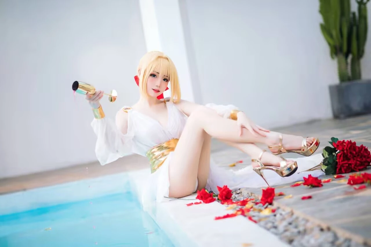 焖焖碳 – FGO 尼禄睡裙 【27P 239MB】-2mgame